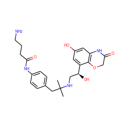 CC(C)(Cc1ccc(NC(=O)CCCN)cc1)NC[C@H](O)c1cc(O)cc2c1OCC(=O)N2 ZINC000045257167