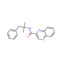 CC(C)(Cc1ccccc1)NC(=O)c1cnc2ccccc2n1 ZINC000028882326