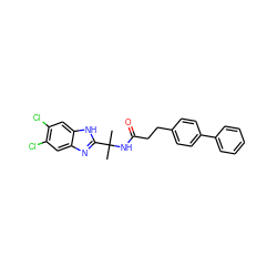 CC(C)(NC(=O)CCc1ccc(-c2ccccc2)cc1)c1nc2cc(Cl)c(Cl)cc2[nH]1 ZINC000082152420