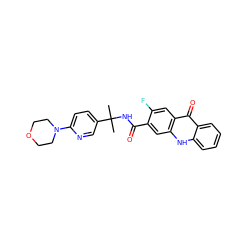 CC(C)(NC(=O)c1cc2[nH]c3ccccc3c(=O)c2cc1F)c1ccc(N2CCOCC2)nc1 ZINC000014970362