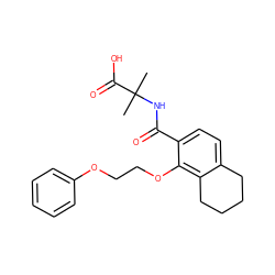 CC(C)(NC(=O)c1ccc2c(c1OCCOc1ccccc1)CCCC2)C(=O)O ZINC000149554996