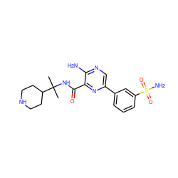 CC(C)(NC(=O)c1nc(-c2cccc(S(N)(=O)=O)c2)cnc1N)C1CCNCC1 ZINC000084596625