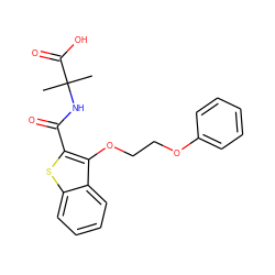 CC(C)(NC(=O)c1sc2ccccc2c1OCCOc1ccccc1)C(=O)O ZINC000096170062