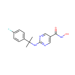 CC(C)(Nc1ncc(C(=O)NO)cn1)c1ccc(F)cc1 ZINC000166771787