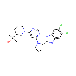 CC(C)(O)[C@@H]1CCCN(c2cc(N3CCC[C@H]3c3nc4cc(Cl)c(Cl)cc4[nH]3)ncn2)C1 ZINC000082154149