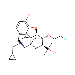 CC(C)(O)[C@H]1C[C@@]23CC[C@@]1(OCCF)[C@@H]1Oc4c(O)ccc5c4[C@@]12CCN(CC1CC1)[C@@H]3C5 ZINC000169352542