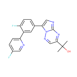 CC(C)(O)c1cnn2c(-c3ccc(F)c(-c4ccc(F)cn4)c3)cnc2n1 ZINC000028571517