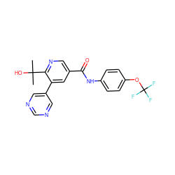 CC(C)(O)c1ncc(C(=O)Nc2ccc(OC(F)(F)F)cc2)cc1-c1cncnc1 ZINC000224407120