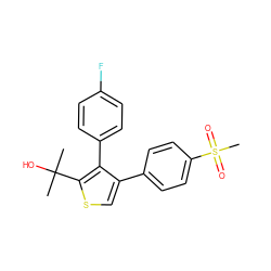 CC(C)(O)c1scc(-c2ccc(S(C)(=O)=O)cc2)c1-c1ccc(F)cc1 ZINC000028007799