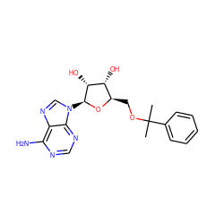 CC(C)(OC[C@H]1O[C@@H](n2cnc3c(N)ncnc32)[C@H](O)[C@@H]1O)c1ccccc1 ZINC000027548919