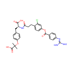 CC(C)(Oc1ccc(C[C@H](NC(=O)CCc2ccc(OC(=O)c3ccc(N=C(N)N)cc3)cc2Cl)C(=O)O)cc1)C(=O)O ZINC000206945578