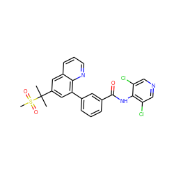 CC(C)(c1cc(-c2cccc(C(=O)Nc3c(Cl)cncc3Cl)c2)c2ncccc2c1)S(C)(=O)=O ZINC000036268843