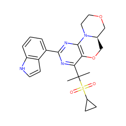 CC(C)(c1nc(-c2cccc3[nH]ccc23)nc2c1OC[C@@H]1COCCN21)S(=O)(=O)C1CC1 ZINC000218140818