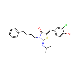 CC(C)/N=C1\S/C(=C\c2ccc(O)c(Cl)c2)C(=O)N1CCCCc1ccccc1 ZINC000049089604