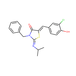 CC(C)/N=C1\S/C(=C\c2ccc(O)c(Cl)c2)C(=O)N1Cc1ccccc1 ZINC000049069018