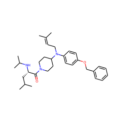 CC(C)=CCN(c1ccc(OCc2ccccc2)cc1)C1CCN(C(=O)[C@H](CC(C)C)NC(C)C)CC1 ZINC000013801303