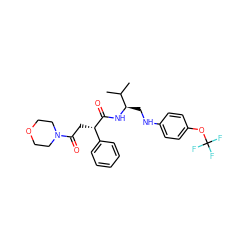 CC(C)[C@@H](CNc1ccc(OC(F)(F)F)cc1)NC(=O)[C@@H](CC(=O)N1CCOCC1)c1ccccc1 ZINC000014971770