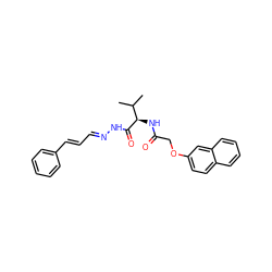 CC(C)[C@@H](NC(=O)COc1ccc2ccccc2c1)C(=O)N/N=C/C=C/c1ccccc1 ZINC000002121876