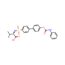 CC(C)[C@@H](NS(=O)(=O)c1ccc(-c2ccc(OC(=O)Nc3ccccc3)cc2)cc1)C(=O)O ZINC000073139750