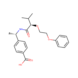 CC(C)[C@@H](OCCOc1ccccc1)C(=O)N[C@@H](C)c1ccc(C(=O)O)cc1 ZINC000212373128