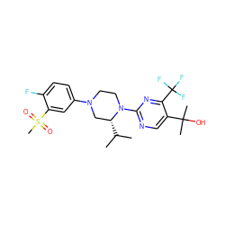 CC(C)[C@@H]1CN(c2ccc(F)c(S(C)(=O)=O)c2)CCN1c1ncc(C(C)(C)O)c(C(F)(F)F)n1 ZINC000653913865