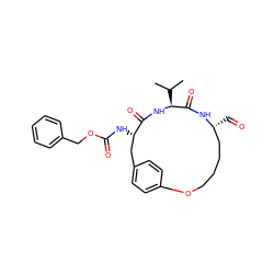 CC(C)[C@@H]1NC(=O)[C@@H](NC(=O)OCc2ccccc2)Cc2ccc(cc2)OCCCC[C@@H](C=O)NC1=O ZINC000073169282