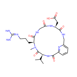 CC(C)[C@@H]1NC(=O)c2cccc(n2)CNC(=O)[C@H](CC(=O)O)NC(=O)CNC(=O)[C@H](CCCN=C(N)N)N(C)C1=O ZINC000026183048