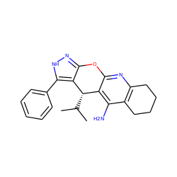 CC(C)[C@@H]1c2c(n[nH]c2-c2ccccc2)Oc2nc3c(c(N)c21)CCCC3 ZINC001772577427