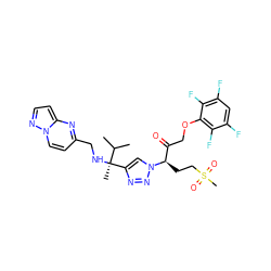 CC(C)[C@](C)(NCc1ccn2nccc2n1)c1cn([C@H](CCS(C)(=O)=O)C(=O)COc2c(F)c(F)cc(F)c2F)nn1 ZINC000473153720