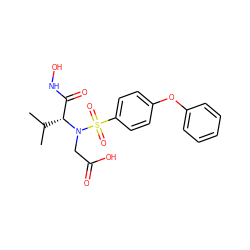 CC(C)[C@H](C(=O)NO)N(CC(=O)O)S(=O)(=O)c1ccc(Oc2ccccc2)cc1 ZINC000040848697