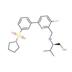 CC(C)[C@H](CO)NCc1nc(-c2cccc(S(=O)(=O)N3CCCC3)c2)ccc1F ZINC000204426270