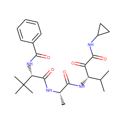 CC(C)[C@H](NC(=O)[C@H](C)NC(=O)[C@@H](NC(=O)c1ccccc1)C(C)(C)C)C(=O)C(=O)NC1CC1 ZINC000198432241