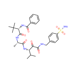 CC(C)[C@H](NC(=O)[C@H](C)NC(=O)[C@@H](NC(=O)c1ccccc1)C(C)(C)C)C(=O)C(=O)NCc1ccc(S(N)(=O)=O)cc1 ZINC000204198426