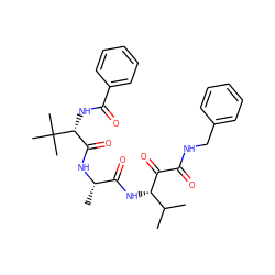 CC(C)[C@H](NC(=O)[C@H](C)NC(=O)[C@@H](NC(=O)c1ccccc1)C(C)(C)C)C(=O)C(=O)NCc1ccccc1 ZINC000204202667