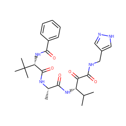 CC(C)[C@H](NC(=O)[C@H](C)NC(=O)[C@@H](NC(=O)c1ccccc1)C(C)(C)C)C(=O)C(=O)NCc1cn[nH]c1 ZINC000204944732