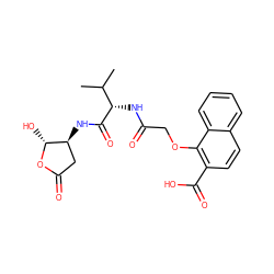 CC(C)[C@H](NC(=O)COc1c(C(=O)O)ccc2ccccc12)C(=O)N[C@H]1CC(=O)O[C@@H]1O ZINC000013819308