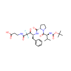 CC(C)[C@H](NC(=O)OC(C)(C)C)C(=O)N1CCC[C@H]1C(=O)N[C@@H](Cc1ccccc1)C(=O)C(F)(F)C(=O)NCCC(=O)O ZINC000028005882