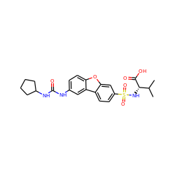 CC(C)[C@H](NS(=O)(=O)c1ccc2c(c1)oc1ccc(NC(=O)NC3CCCC3)cc12)C(=O)O ZINC000040956809