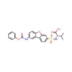 CC(C)[C@H](NS(=O)(=O)c1ccc2c(c1)oc1ccc(NC(=O)Oc3ccccc3)cc12)C(=O)O ZINC000040952907