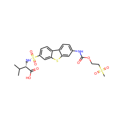 CC(C)[C@H](NS(=O)(=O)c1ccc2c(c1)sc1cc(NC(=O)OCCS(C)(=O)=O)ccc12)C(=O)O ZINC000043061395