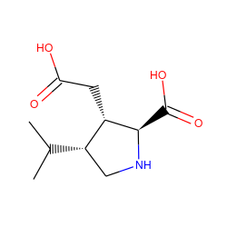 CC(C)[C@H]1CN[C@H](C(=O)O)[C@H]1CC(=O)O ZINC000003995564