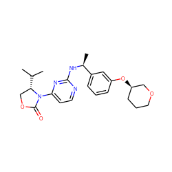 CC(C)[C@H]1COC(=O)N1c1ccnc(N[C@@H](C)c2cccc(O[C@@H]3CCCOC3)c2)n1 ZINC000221308375