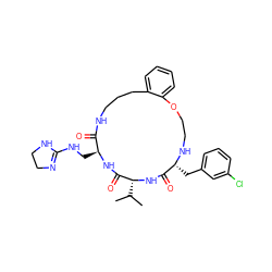 CC(C)[C@H]1NC(=O)[C@@H](Cc2cccc(Cl)c2)NCCOc2ccccc2CCCNC(=O)[C@H](CNC2=NCCN2)NC1=O ZINC000028823461