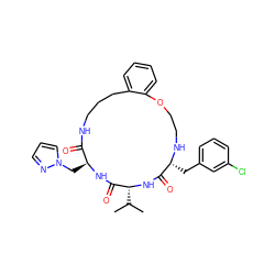 CC(C)[C@H]1NC(=O)[C@@H](Cc2cccc(Cl)c2)NCCOc2ccccc2CCCNC(=O)[C@H](Cn2cccn2)NC1=O ZINC000028823472