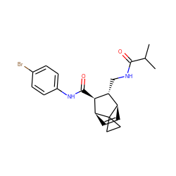 CC(C)C(=O)NC[C@H]1[C@H](C(=O)Nc2ccc(Br)cc2)[C@@H]2C=C[C@H]1C21CC1 ZINC000168516687