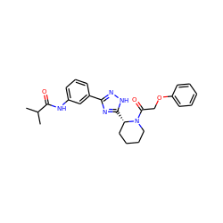 CC(C)C(=O)Nc1cccc(-c2n[nH]c([C@H]3CCCCN3C(=O)COc3ccccc3)n2)c1 ZINC000143991882