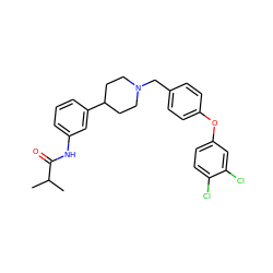 CC(C)C(=O)Nc1cccc(C2CCN(Cc3ccc(Oc4ccc(Cl)c(Cl)c4)cc3)CC2)c1 ZINC000028710588