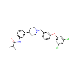 CC(C)C(=O)Nc1cccc(C2CCN(Cc3cccc(Oc4cc(Cl)cc(Cl)c4)c3)CC2)c1 ZINC000028710582