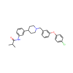 CC(C)C(=O)Nc1cccc(C2CCN(Cc3cccc(Oc4ccc(Cl)cc4)c3)CC2)c1 ZINC000028710579