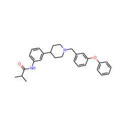 CC(C)C(=O)Nc1cccc(C2CCN(Cc3cccc(Oc4ccccc4)c3)CC2)c1 ZINC000028710575